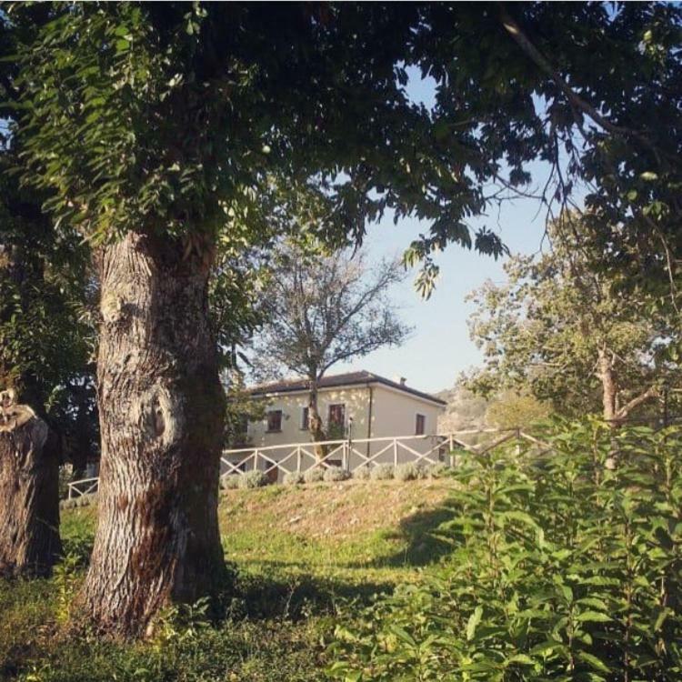Agriturismo Acquafredda Villa Mormanno Exterior photo